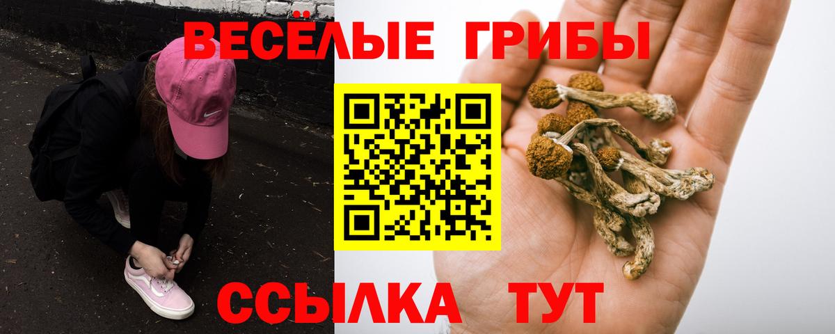 Галлюциногенные грибы мицелий Коломна